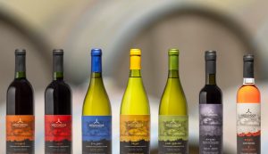 Développement et design de la gamme d'étiquettes des vins