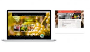 Design du site web et boutique en ligne