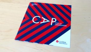 Rapport annuel