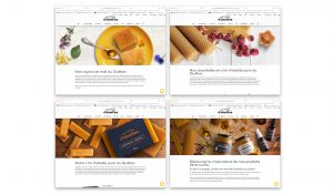 Image de marque et design site web