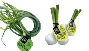 Étiquettes pour tiges d'ail frais et fleurs d'ail