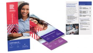 Brochure promotionnelle - Monographie des programmes collégial