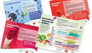 Fiches recettes partenariat avec le Regroupement des tables de concertation bioalimentaires du Québec